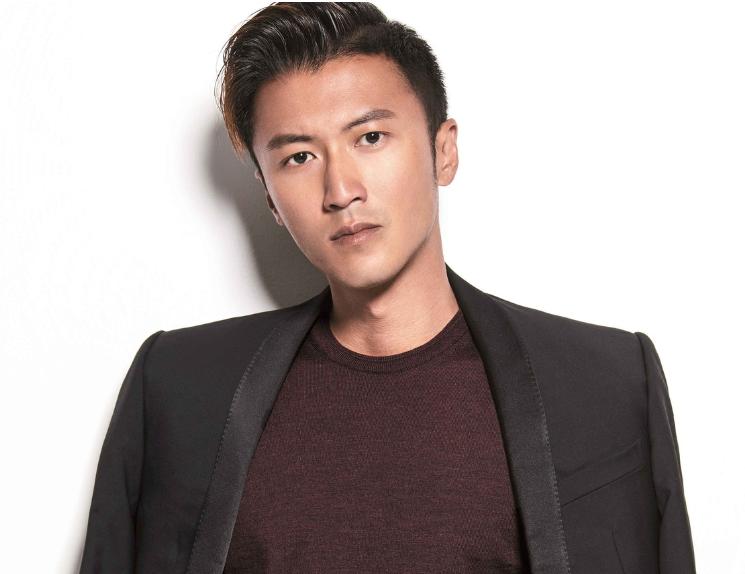演员杨宁，演艺之路的璀璨之星
