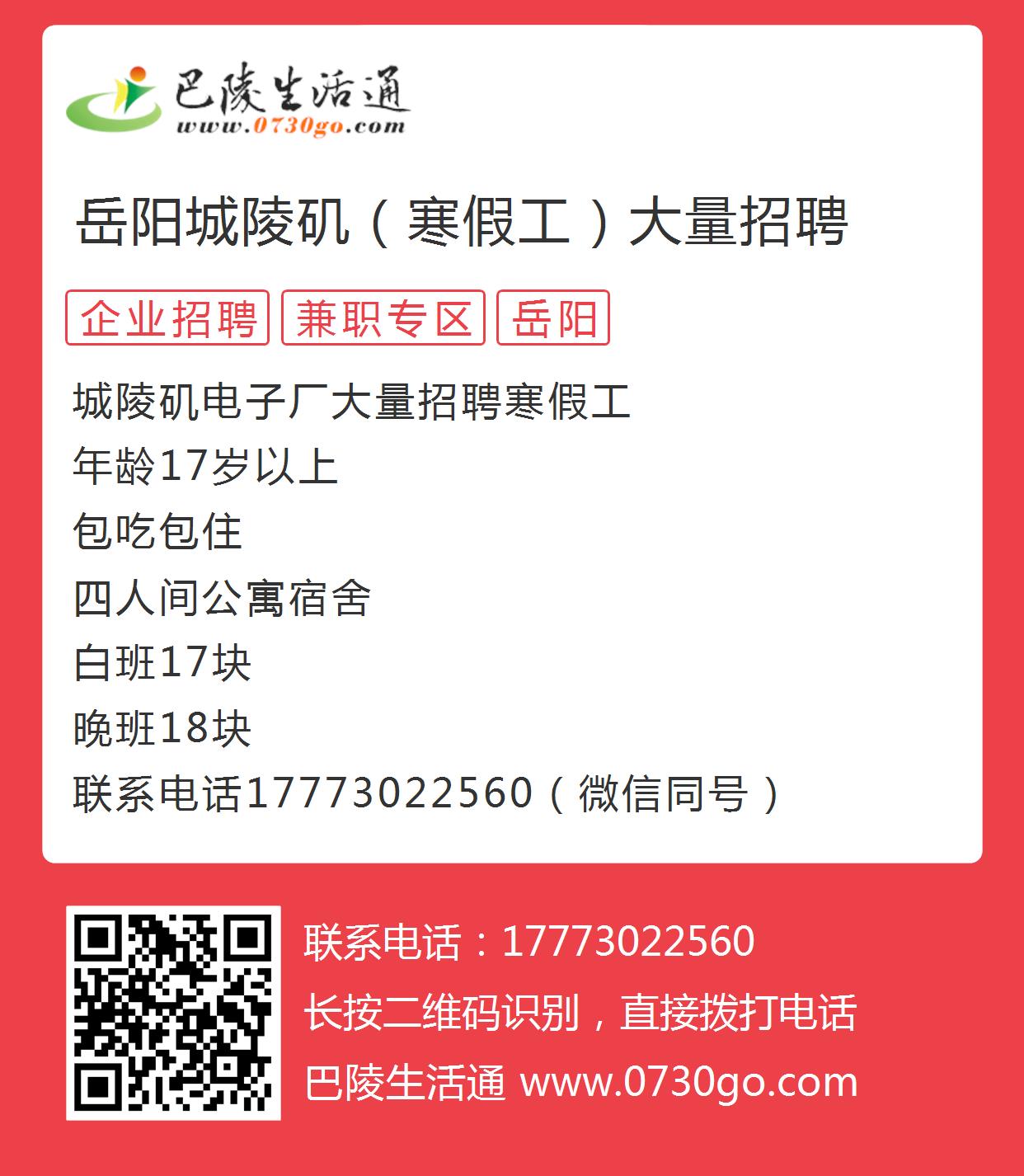 岳阳最新招聘信息，小巷中的独特工作机遇