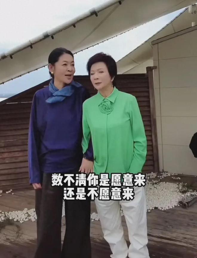 蔡明最新动态与资讯获取步骤指南