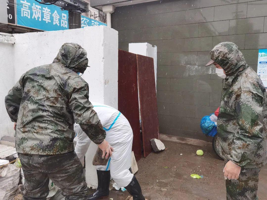 国际庄磊磊最新动态揭秘，小巷深处的独特风味