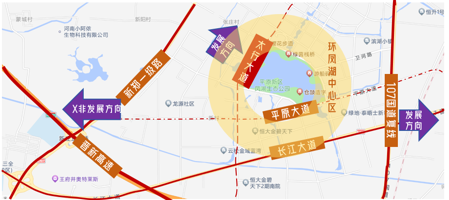 平原新区发展最新动态，最新进展与成果展示