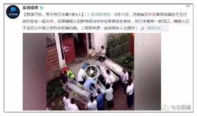 周口西华杀人事件最新消息，深度分析与观点阐述